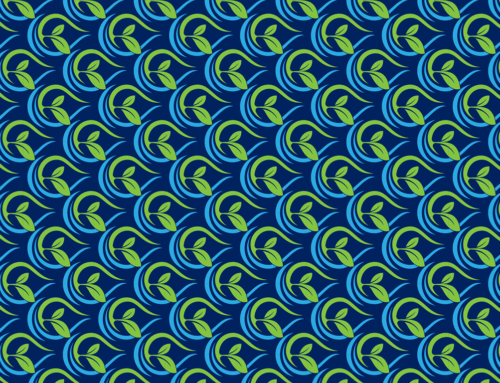 ProCleanLakes – 2nd Mission Lakes Webinar: Access Presentations & Recording