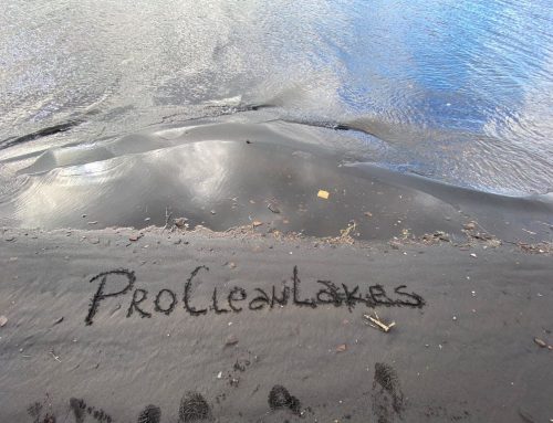 ProCleanLakes Workshop Highlights Innovative Approaches to European Lake Management